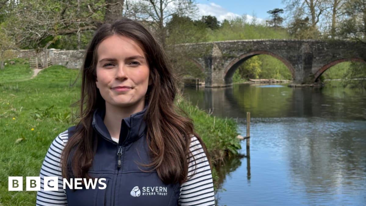 River Teme flowing through green countryside with tree-lined banks in England