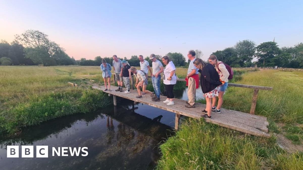 Salisbury Wins £5K to Bring Wildlife to City Dwellers