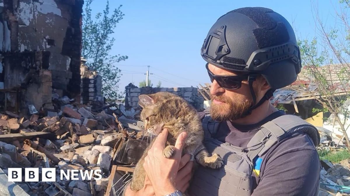 Veterinarian Lachlan Campbell with rescued cats and dogs from Ukraine conflict zone