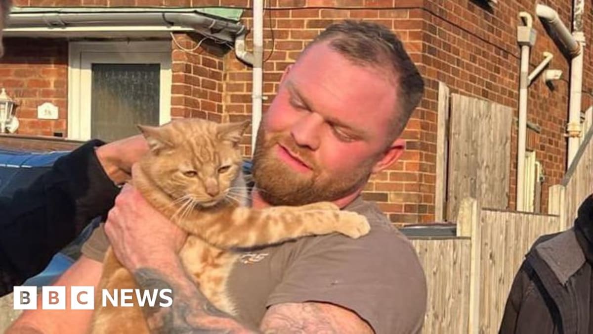 Essex Firefighters Double Animal Rescues from Heights
