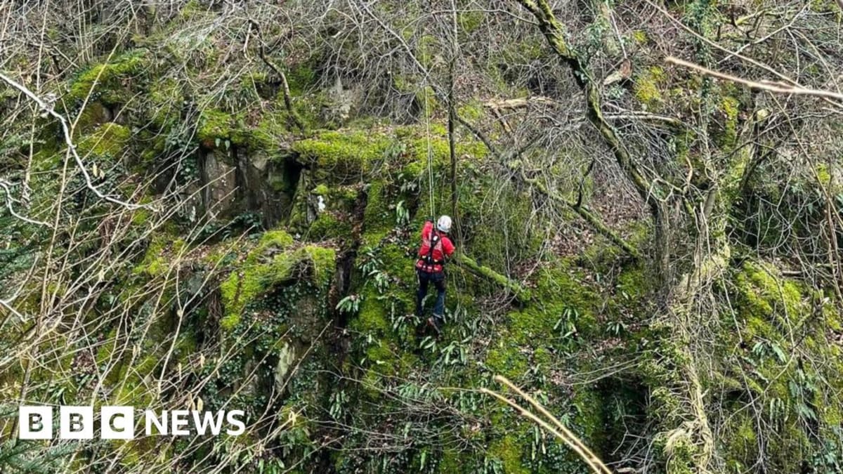 Cave Rescuers Save Dog From 26-Foot Fall in Yorkshire Dales