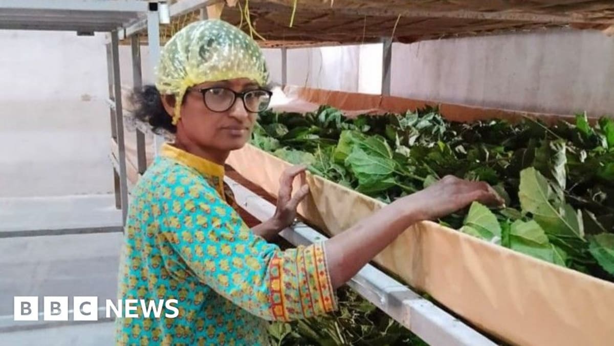 India's Silk Farms Get AI Upgrade, Yields Soar