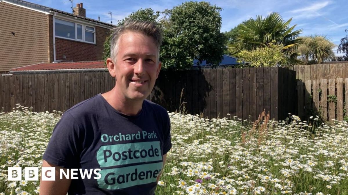 Hull Gives Residents 'Right to Grow' on Unused Public Land
