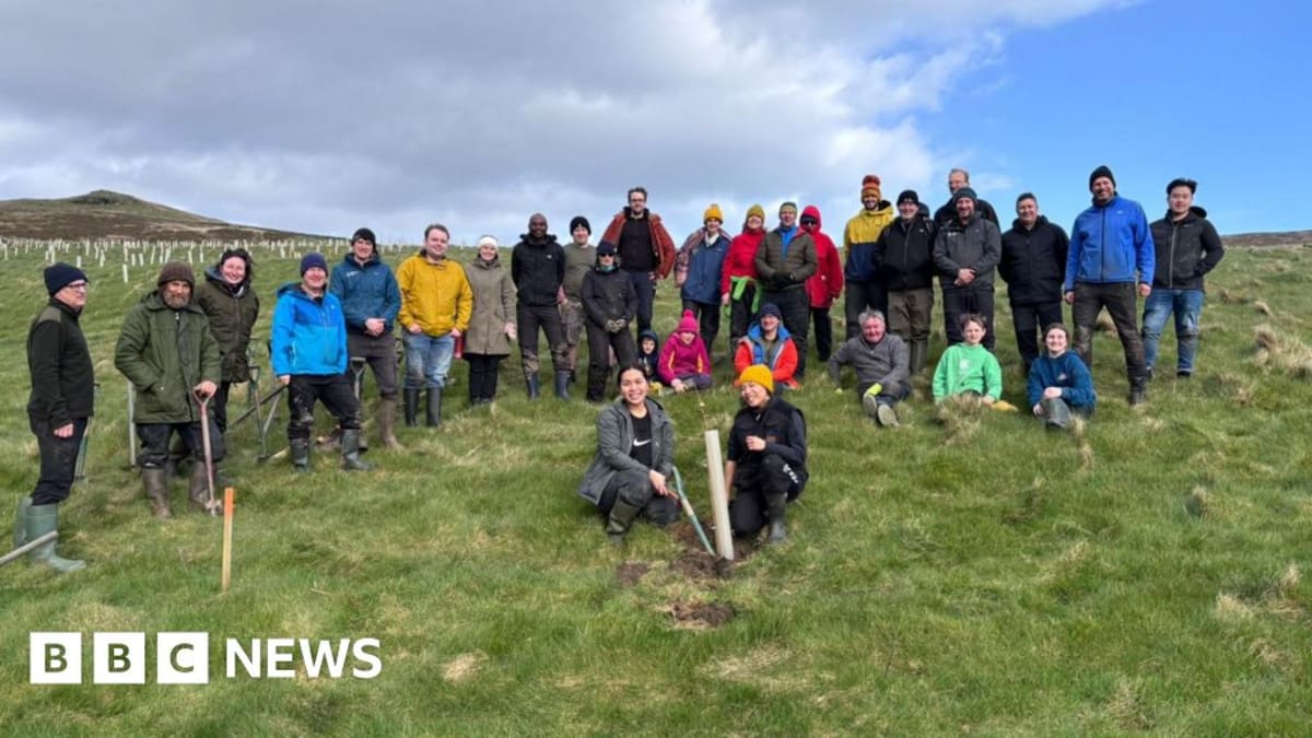 Isle of Man Plants 30,000 Trees Two Years Ahead of Schedule