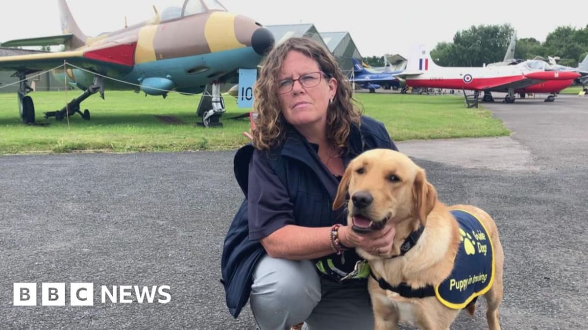 Guide dog puppy Delilah with trainer Wendy Huggins at Yorkshire Air Museum training session