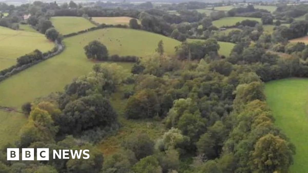 Gift in Will Doubles Staffordshire Nature Reserve