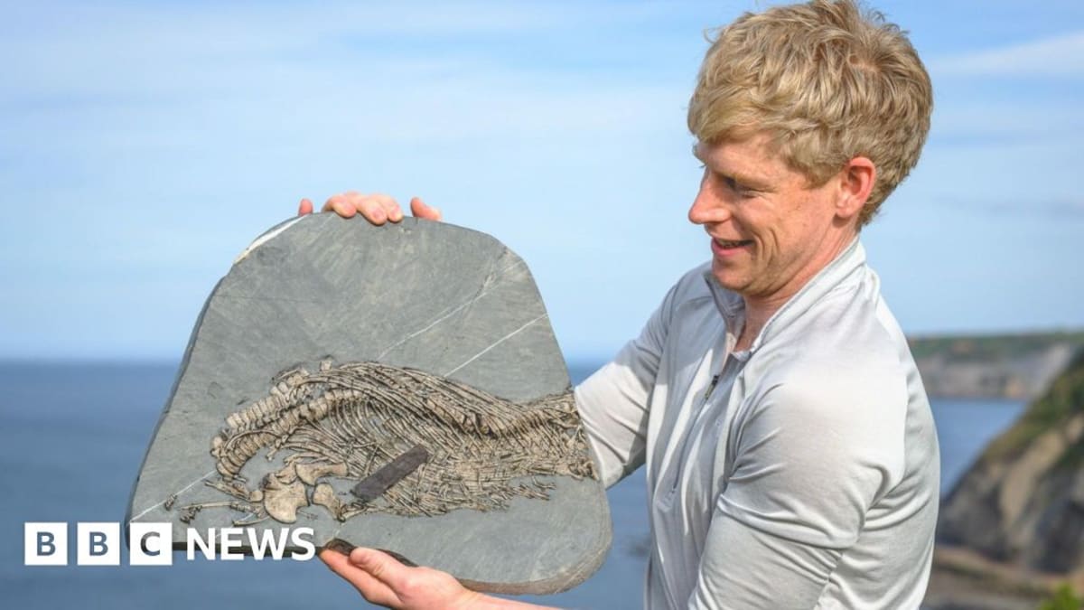Matthew Myerscough holding ancient plesiosaur jawbone fossil discovered at Welsh beach