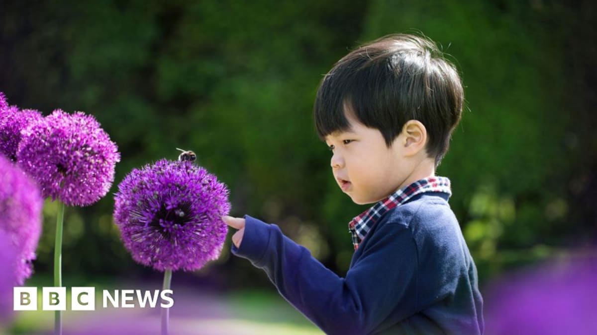Urban garden with flowering plants and green spaces connecting buildings in East London