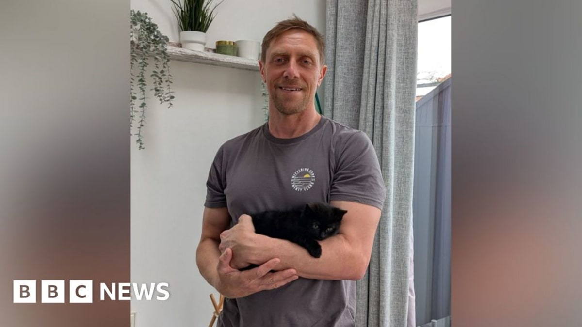 Firefighter Adopts Feisty Kitten He Rescued from Car Engine