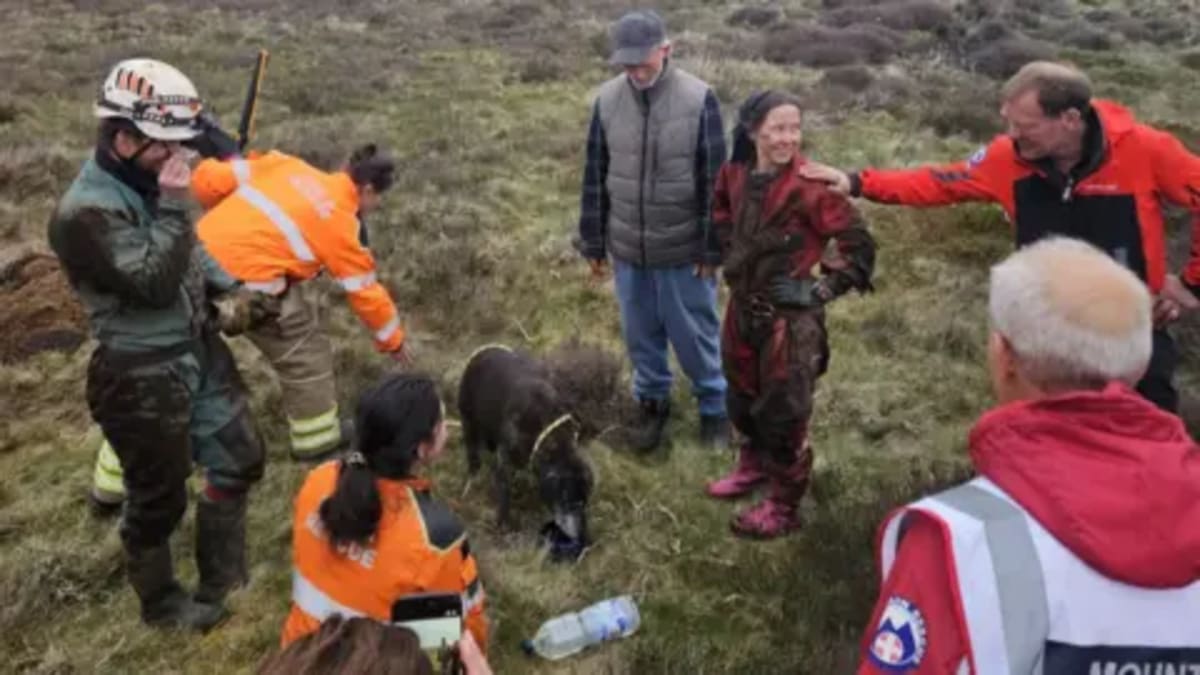 Rescuers Save Dog Trapped 20 Feet Underground for 6 Hours - Image 4