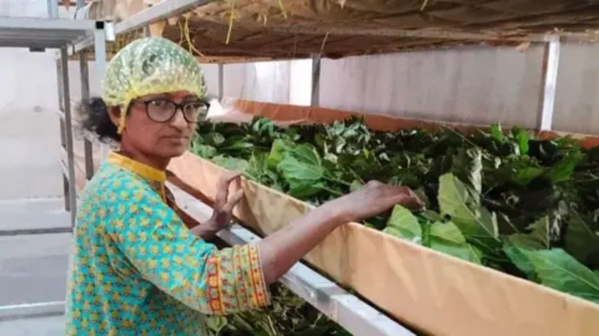 India's Silk Farms Get AI Upgrade, Yields Soar - Image 2