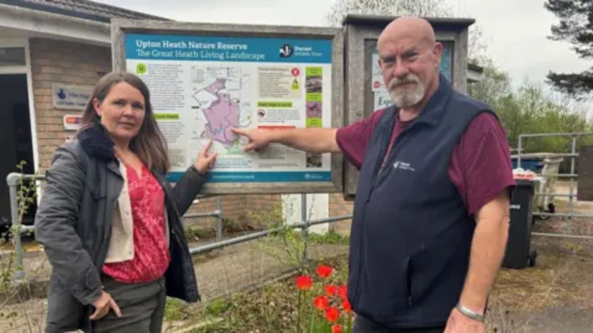 Community Saves 110 Acres of Rare Wildlife Habitat - Image 4