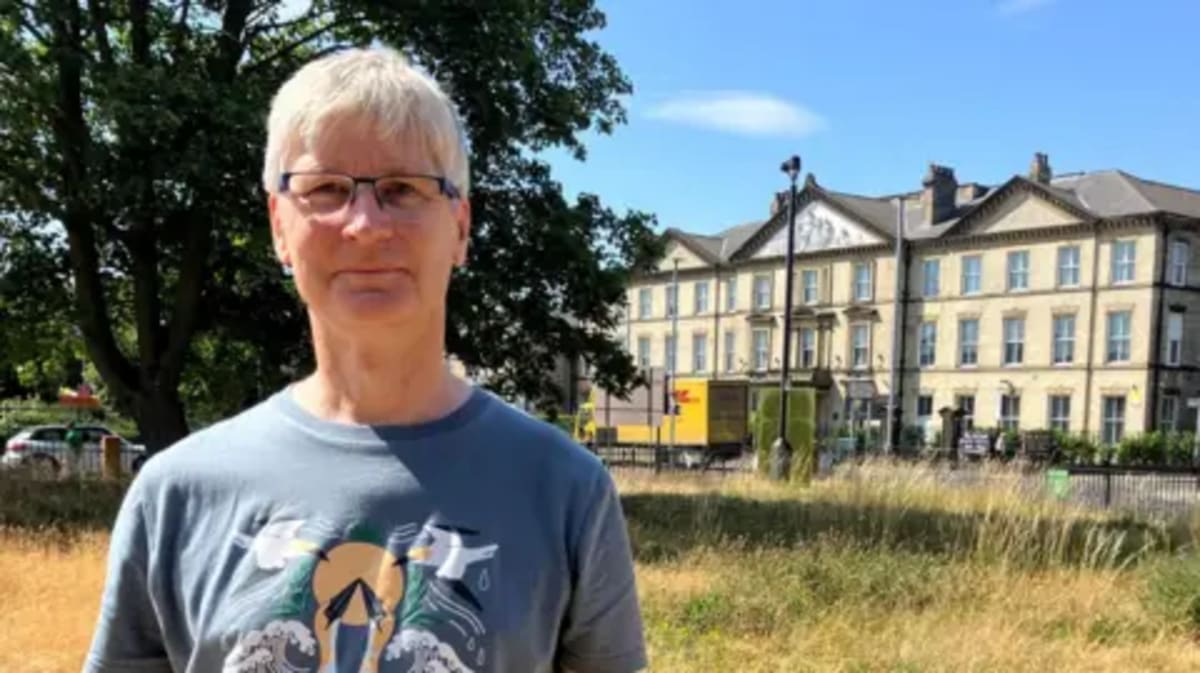 Hull Mini Meadow Brings 10 Butterfly Species to City Centre - Image 2