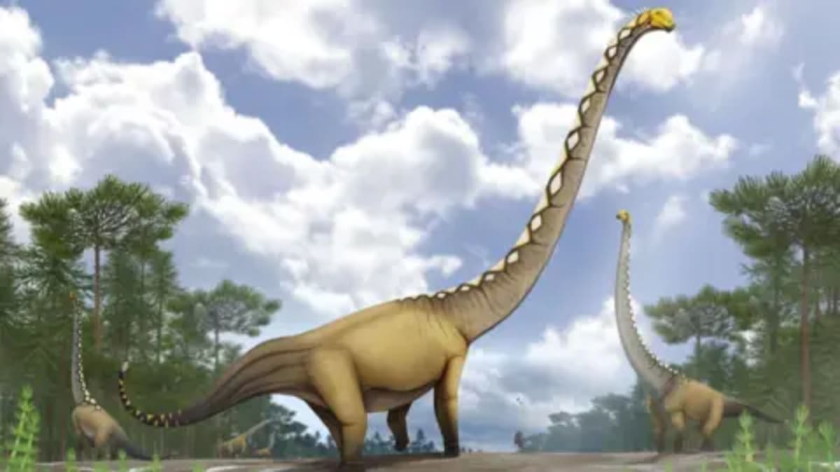 Thailand Discovers New Dinosaur With 66-Foot-Long Neck - Image 2