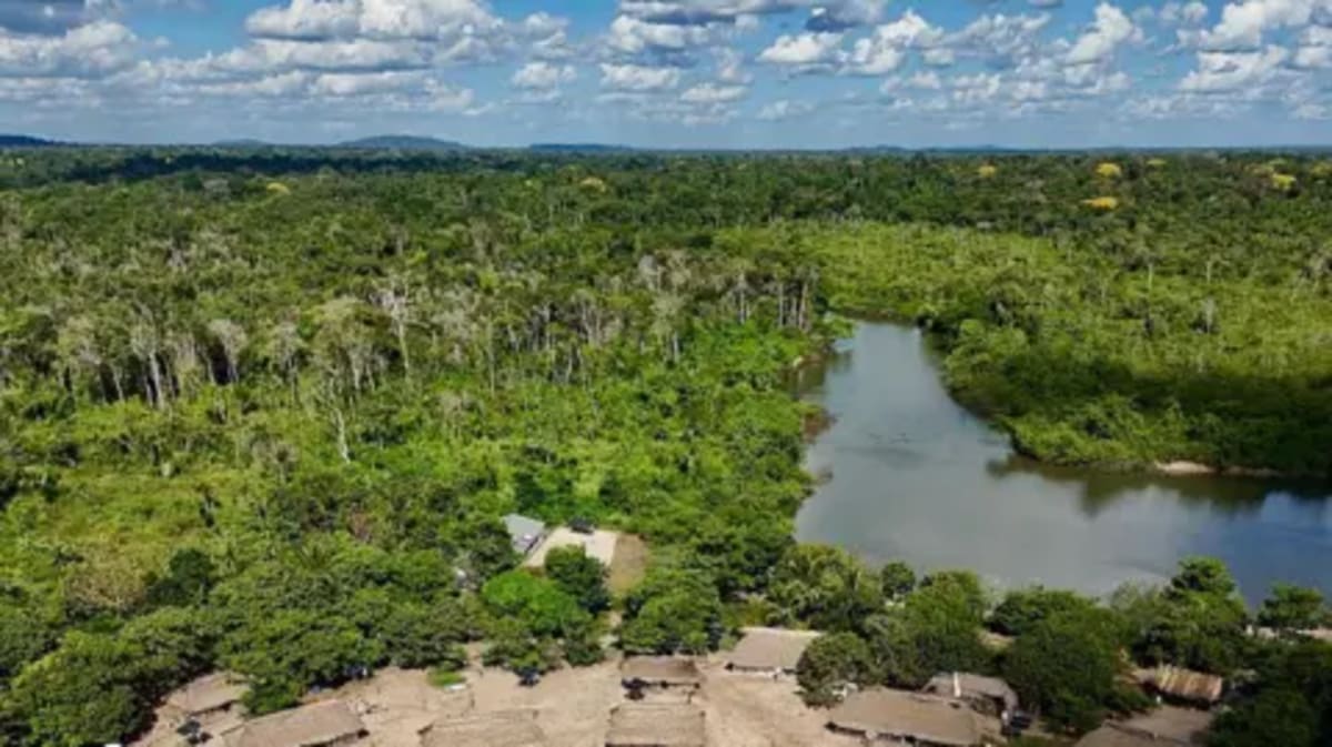 Amazon Fires Drop 80% in Brazil's Best Year Since 1985 - Image 2
