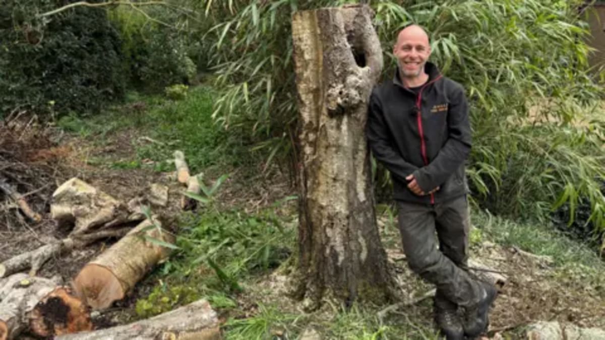 Olympic Diver Pete Waterfield Swaps 10m Platform for Trees - Image 2
