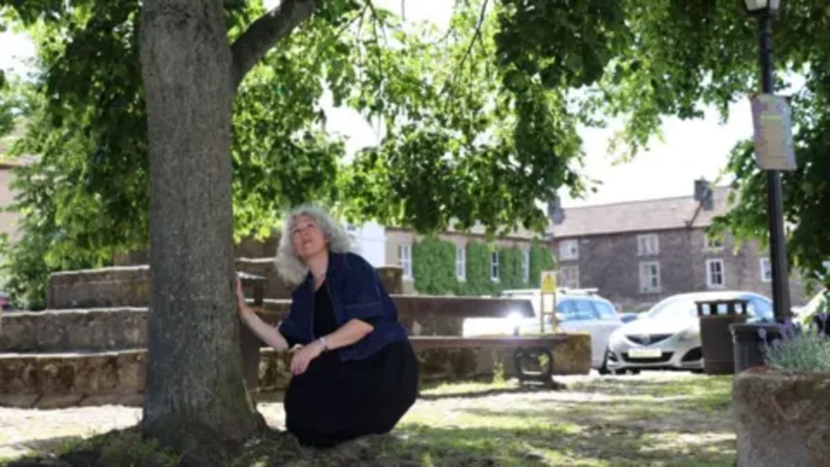 North Yorkshire Plans Countywide Tree Protection Policy - Image 3