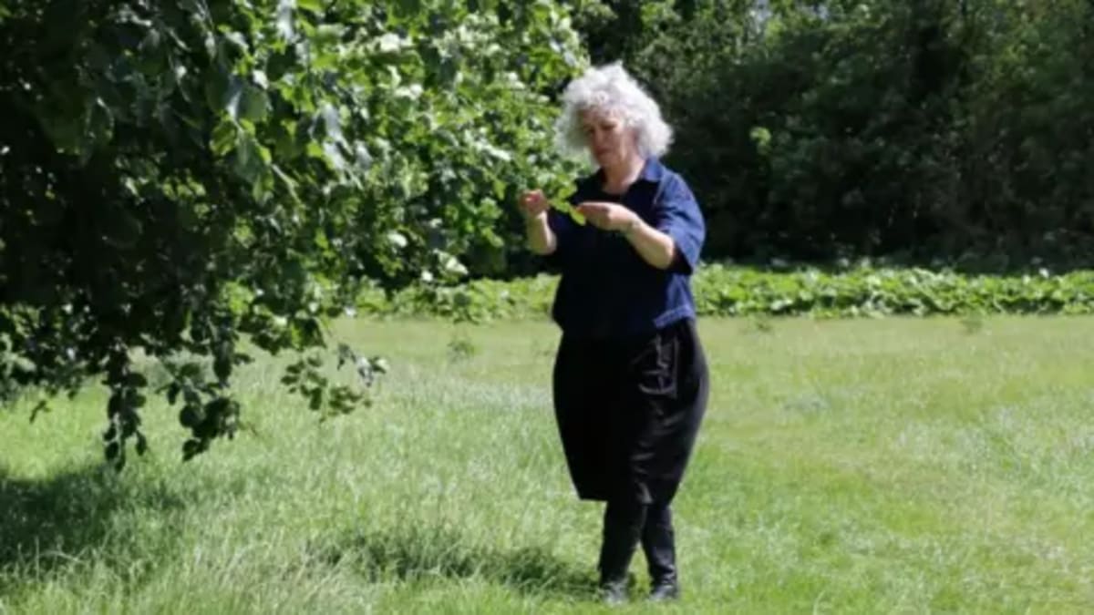North Yorkshire Plans Countywide Tree Protection Policy - Image 2