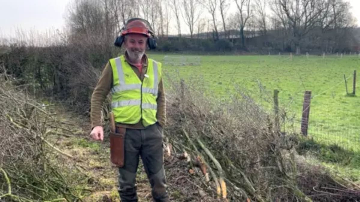 Ancient Hedge Laying Brings Wildlife Back to Somerset Lake - Image 3