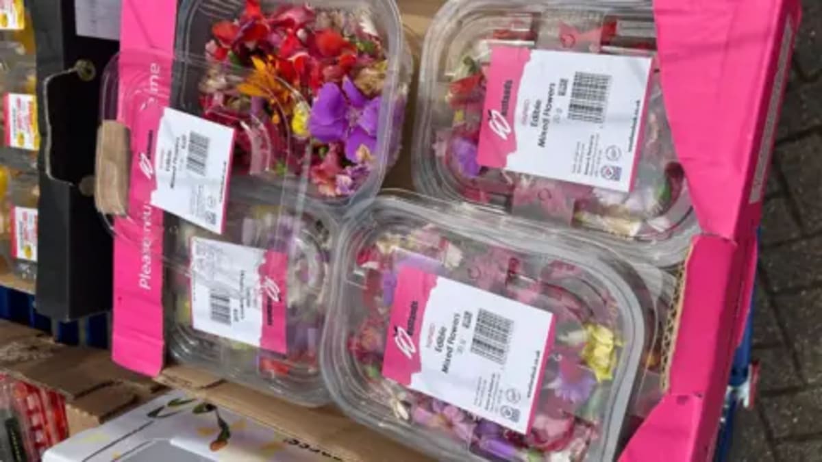 50 Volunteers Save 15 Tonnes of F1 Food From Landfill - Image 4