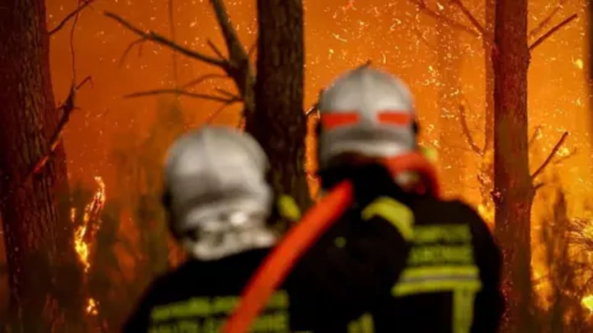 AI Cameras Spot Wildfires 15 Minutes Before First Call - Image 2