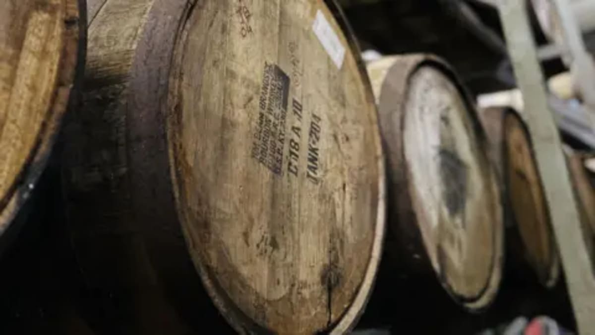 India Turns 'Worthless Weed' Into Booming Spirits Industry - Image 4