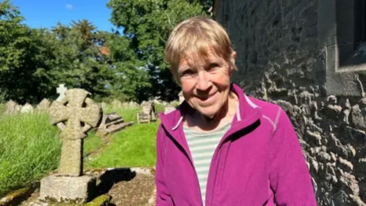 UK Village Rewilding Brings Back Butterflies, Slow Worms - Image 4