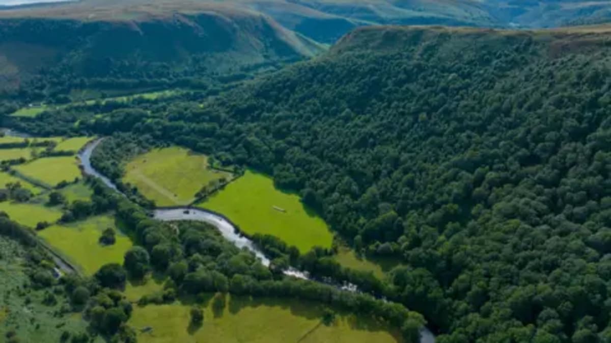 Wales Reserve Reconnects 60 Years of Fragmented Wildlife Habitat - Image 2