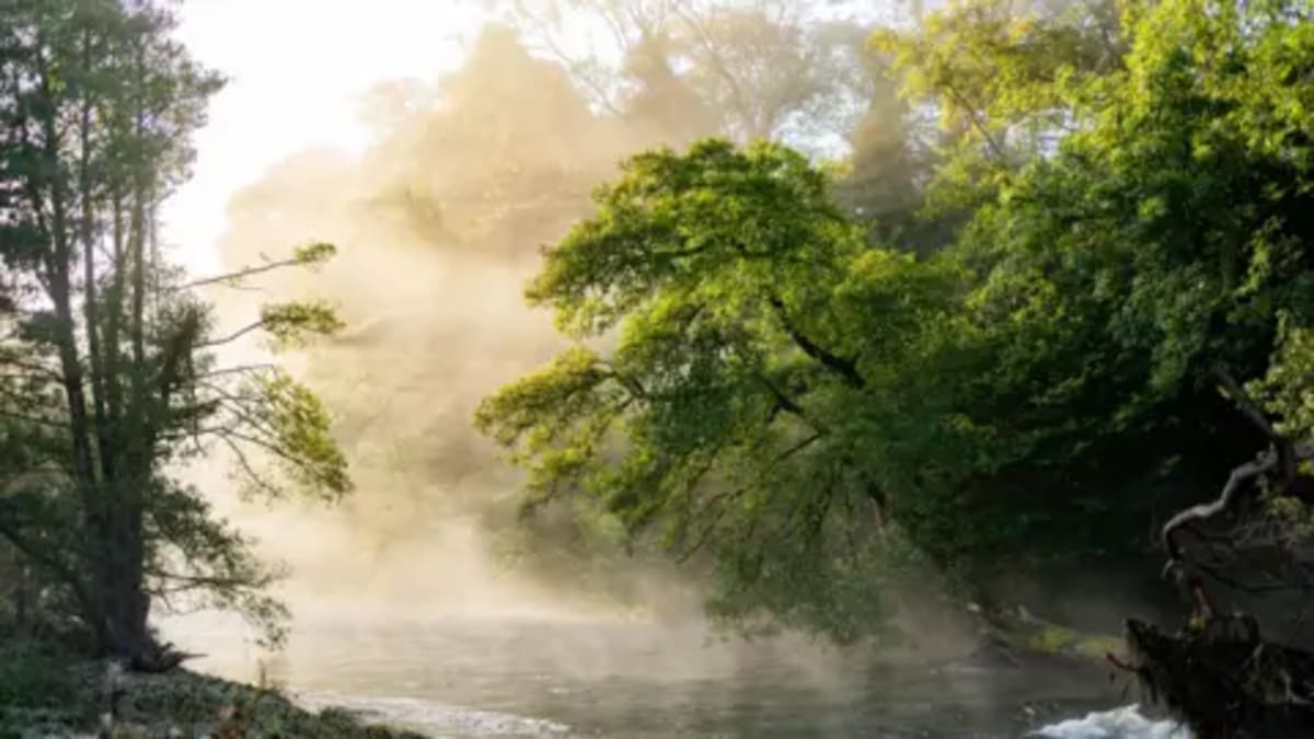 Couple Turns 80-Acre Farm Into 30-Year Wildlife Haven - Image 4