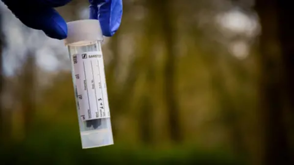 Monkey's DNA Map Could Stop Wildlife Trafficking - Image 3