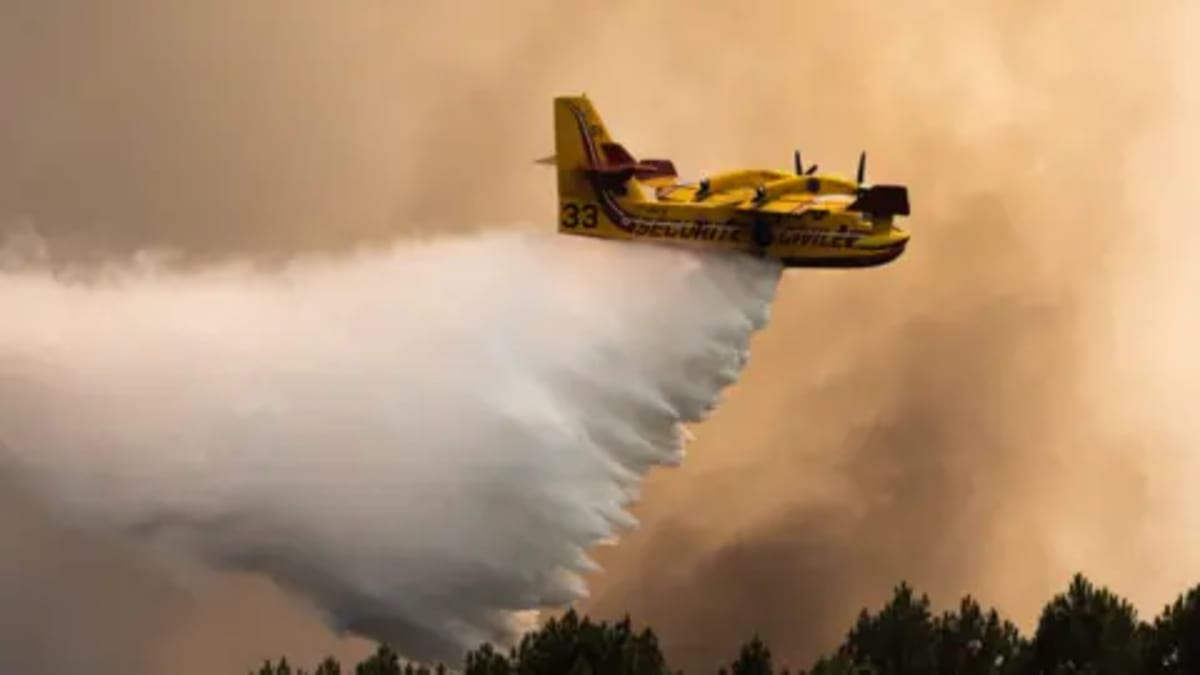 AI Cameras Spot Wildfires 15 Minutes Before First Call - Image 4