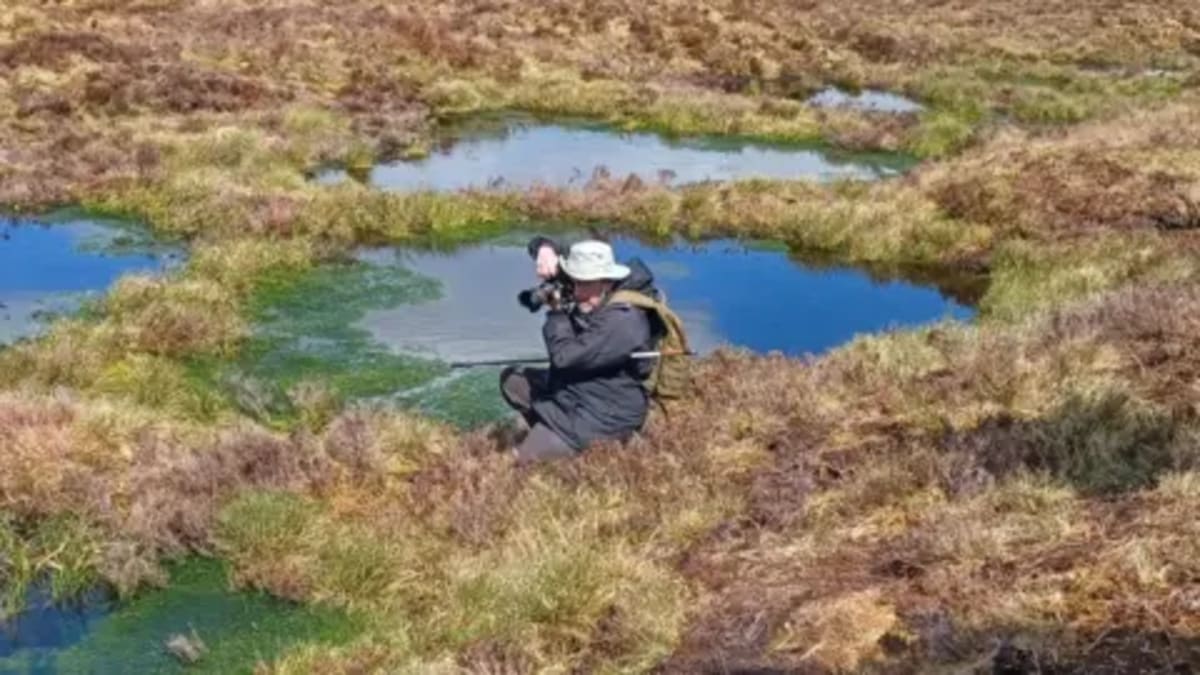The Bogfather: Wales Scientist Restores Bogs to Fight Climate - Image 2