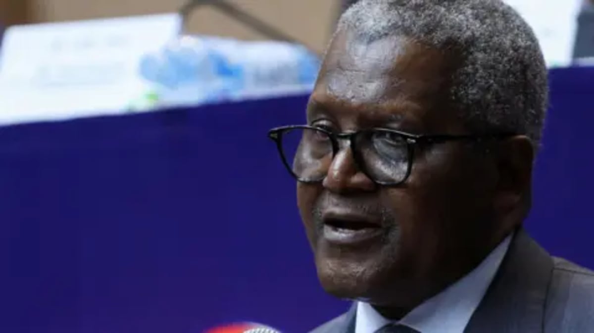 Nigeria Opens Africa's Largest Ever Public Share Sale - Image 2