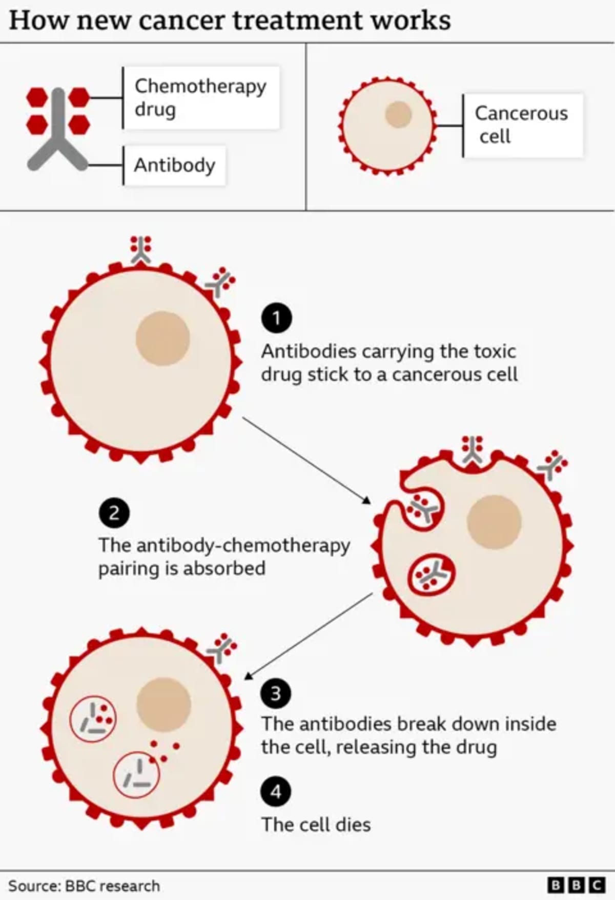 New Ovarian Cancer Drug Extends Lives, Restores Joy - Image 4