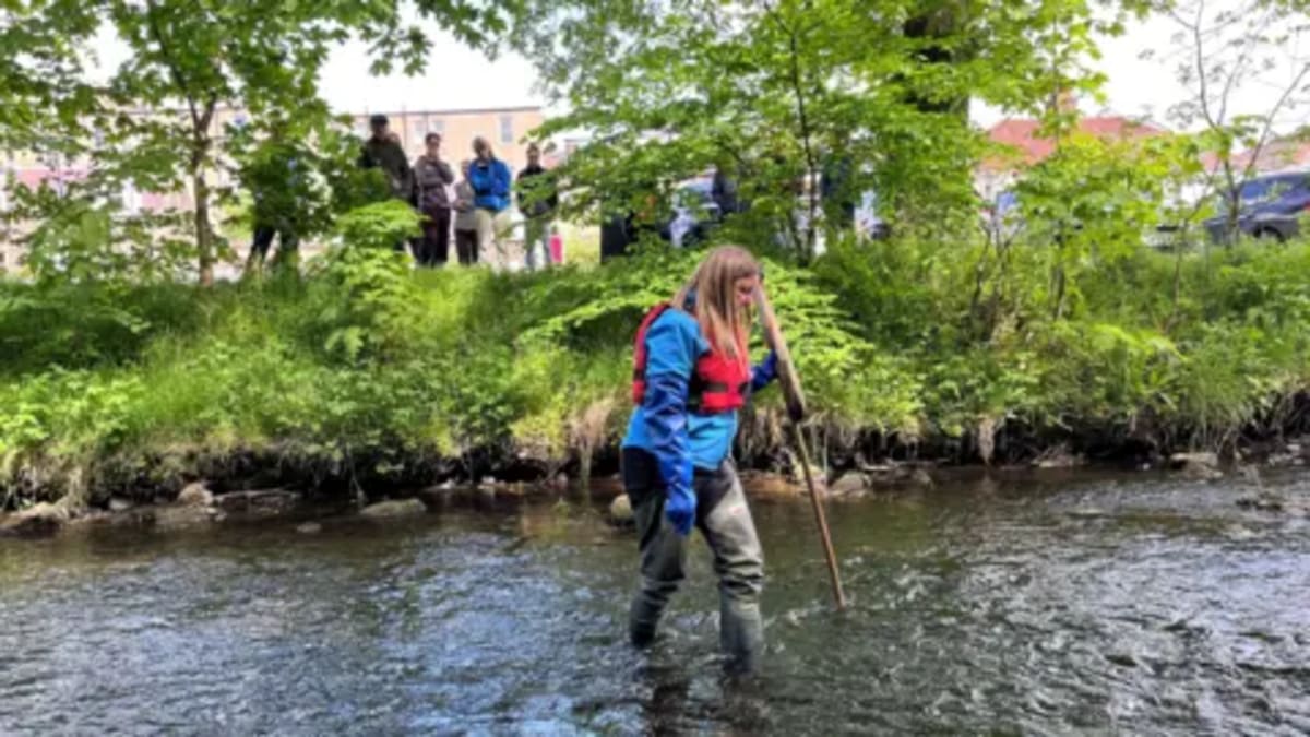Scotland's River Detectives Protect Water With Fly Counts - Image 4