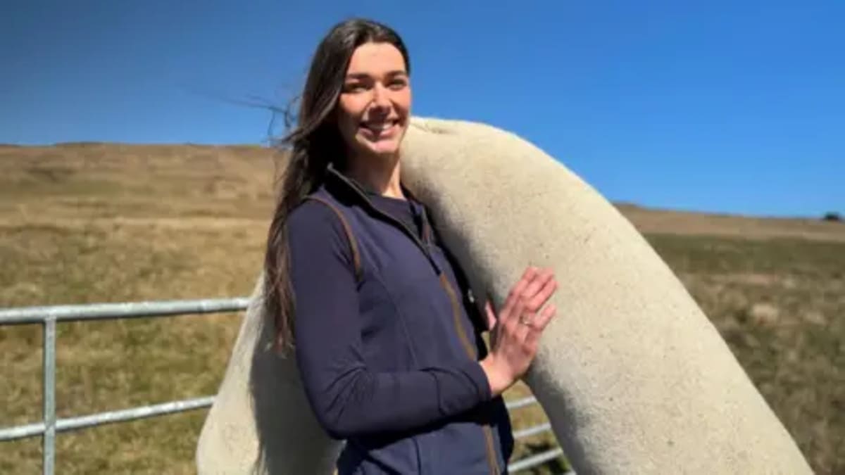 NI Sheep Farmers Turn Waste Wool Into Peatland Savior - Image 2