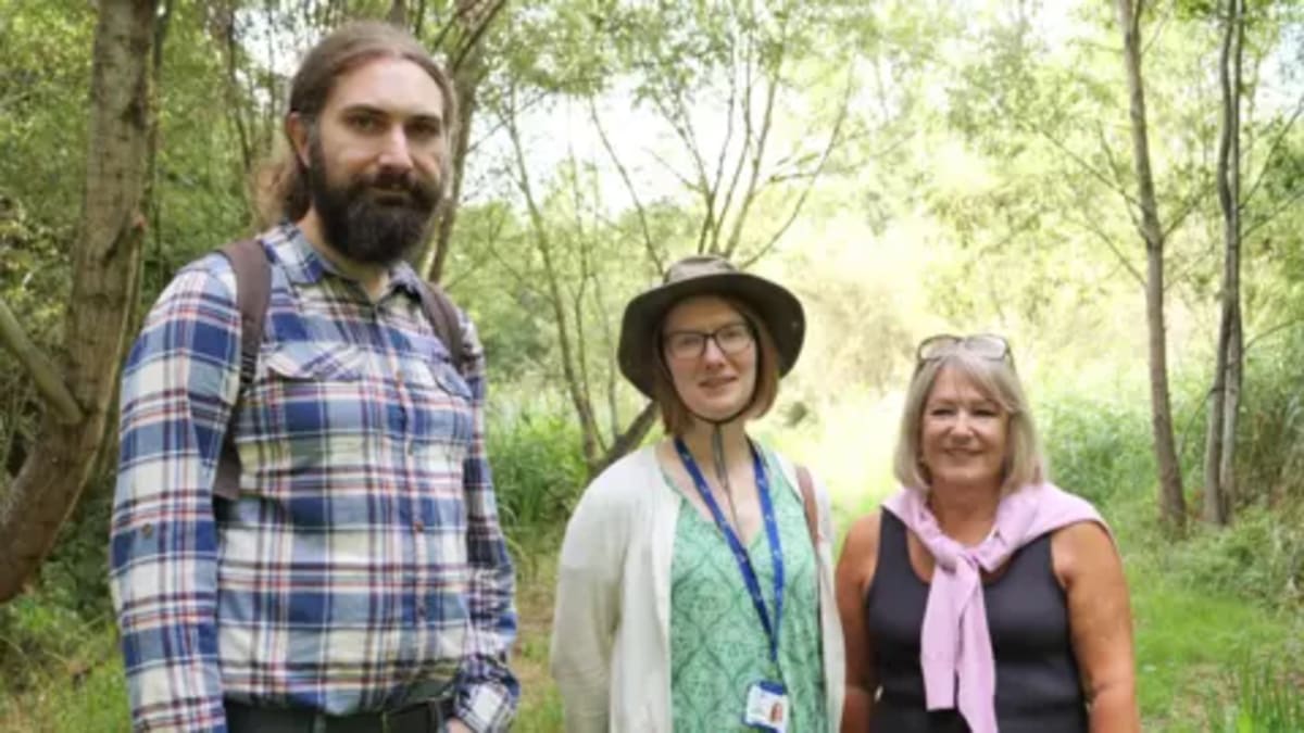Coventry Nature Park Gets Boardwalk and Wildlife Habitats - Image 2