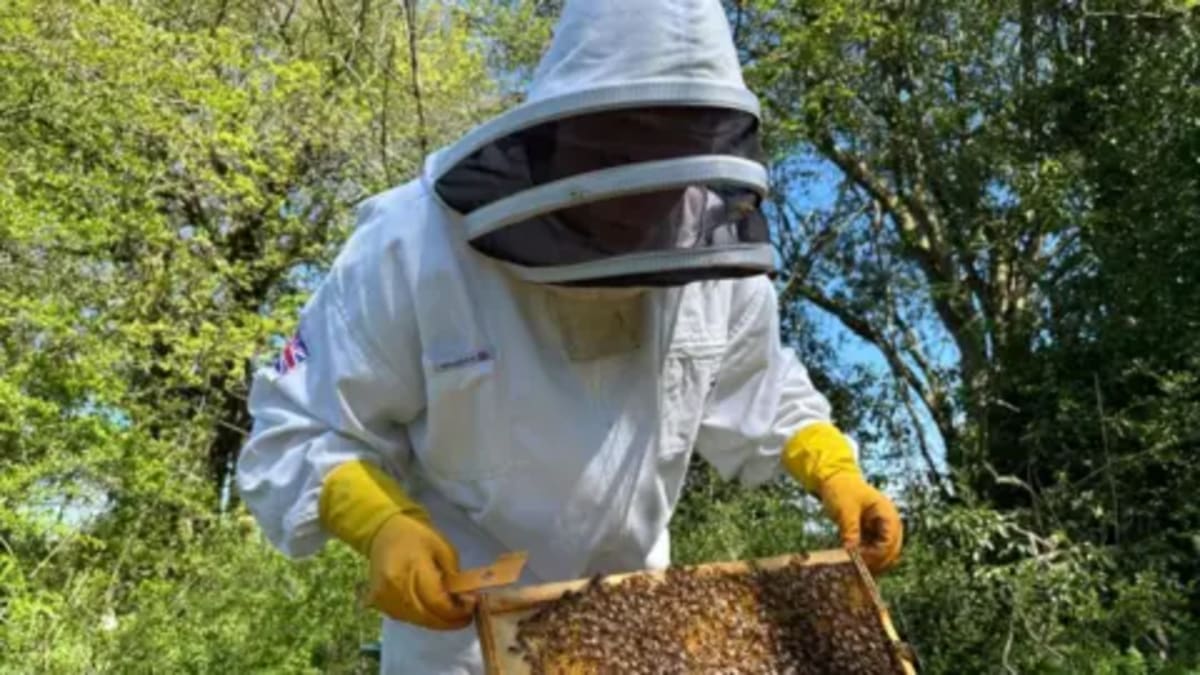 Teen Credits Beekeeping for Return to School After 4 Years - Image 2