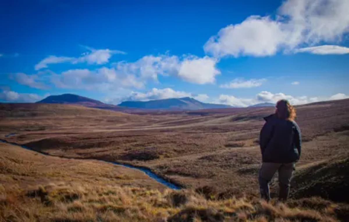 Butterflies Help Monitor Welsh Peat Bogs' Climate Fight - Image 4