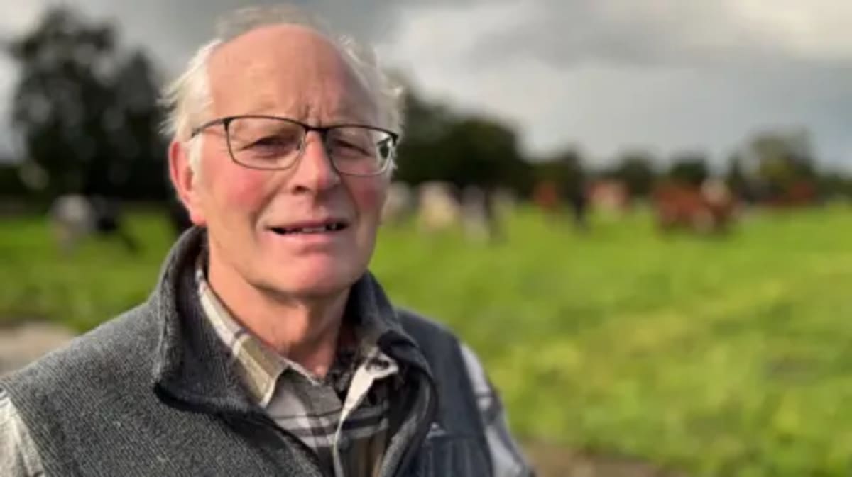 Farmer Who Lost 200 Cows Finds Hope in Song - Image 2