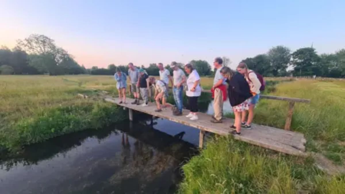Salisbury Wins £5K to Bring Wildlife to City Dwellers - Image 2