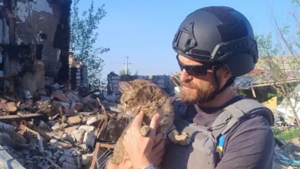 Veteran Rescues 30 Animals From Ukraine War Zone - Image 2