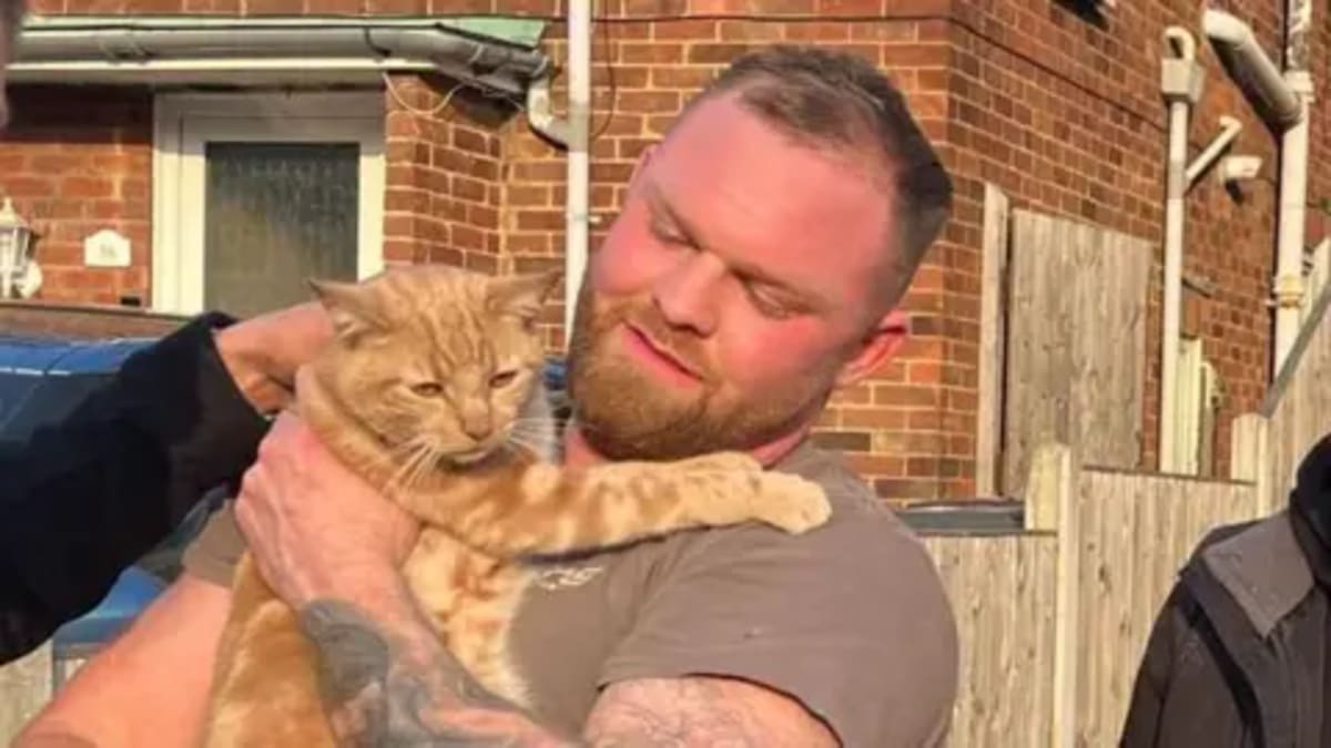 Essex Firefighters Double Animal Rescues from Heights - Image 2