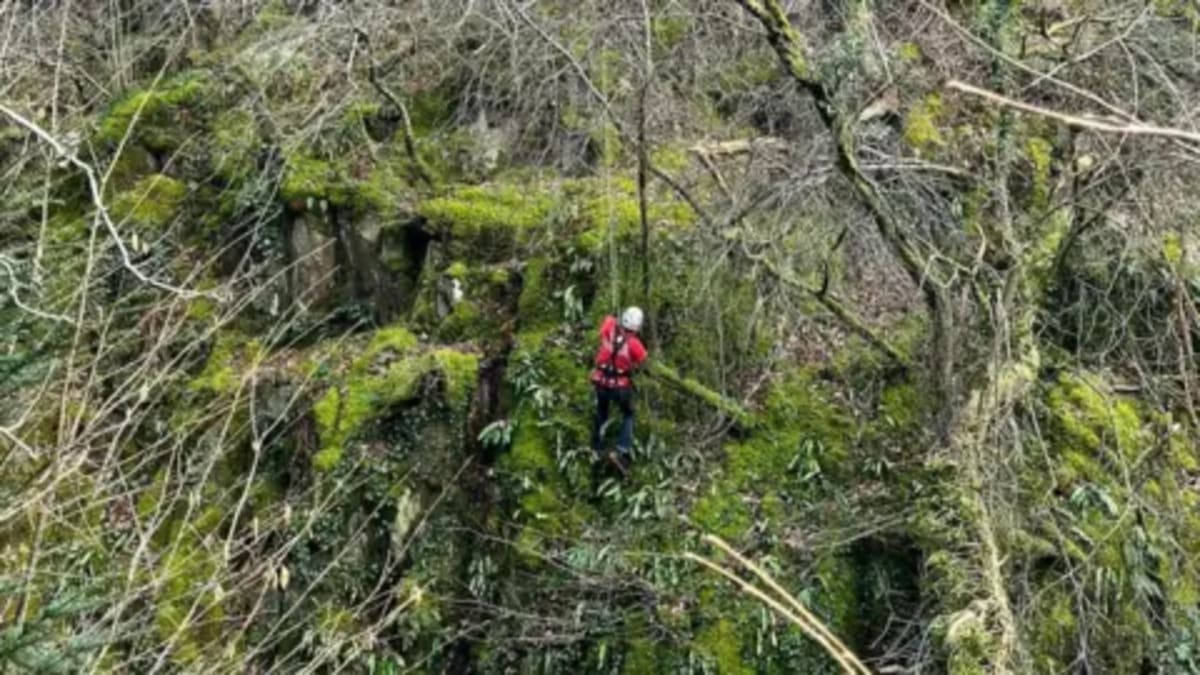 Cave Rescuers Save Dog From 26-Foot Fall in Yorkshire Dales - Image 2