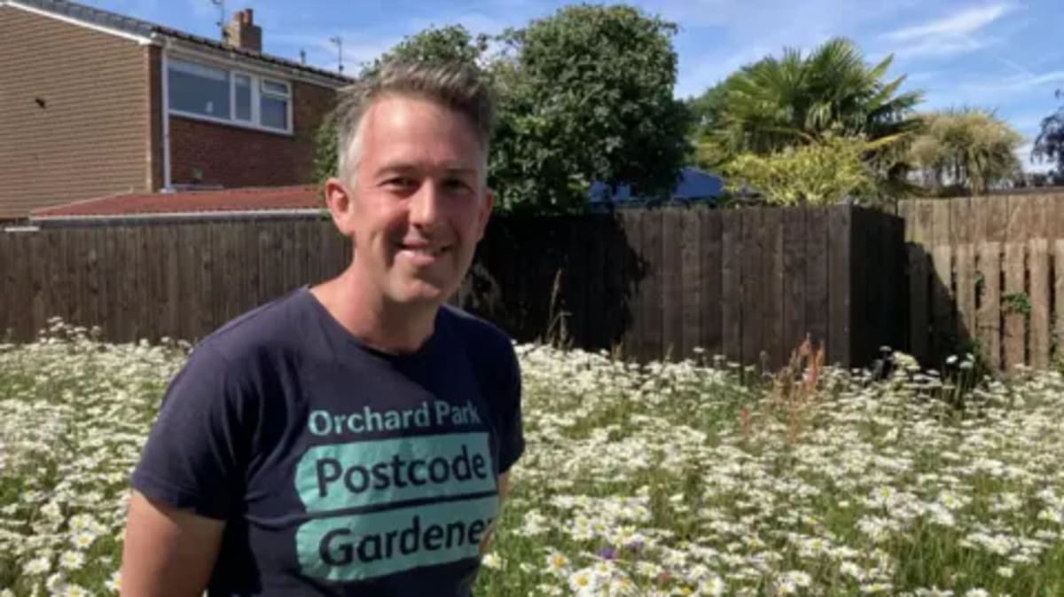 Hull Gives Residents 'Right to Grow' on Unused Public Land - Image 2