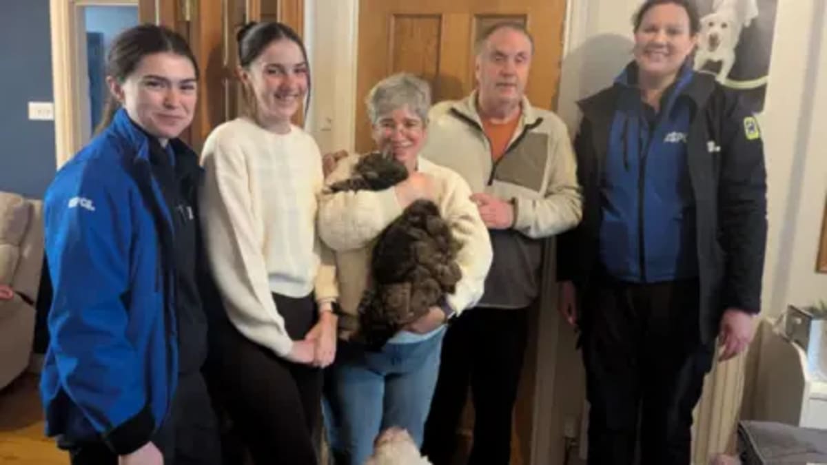 Cat Missing 4 Years Found Two Streets from Home - Image 2