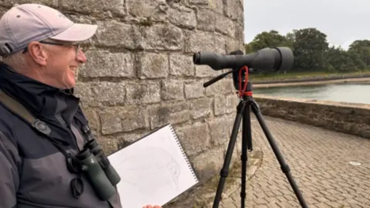 Rare African Heron Draws 300 Birdwatchers to Welsh Town - Image 4
