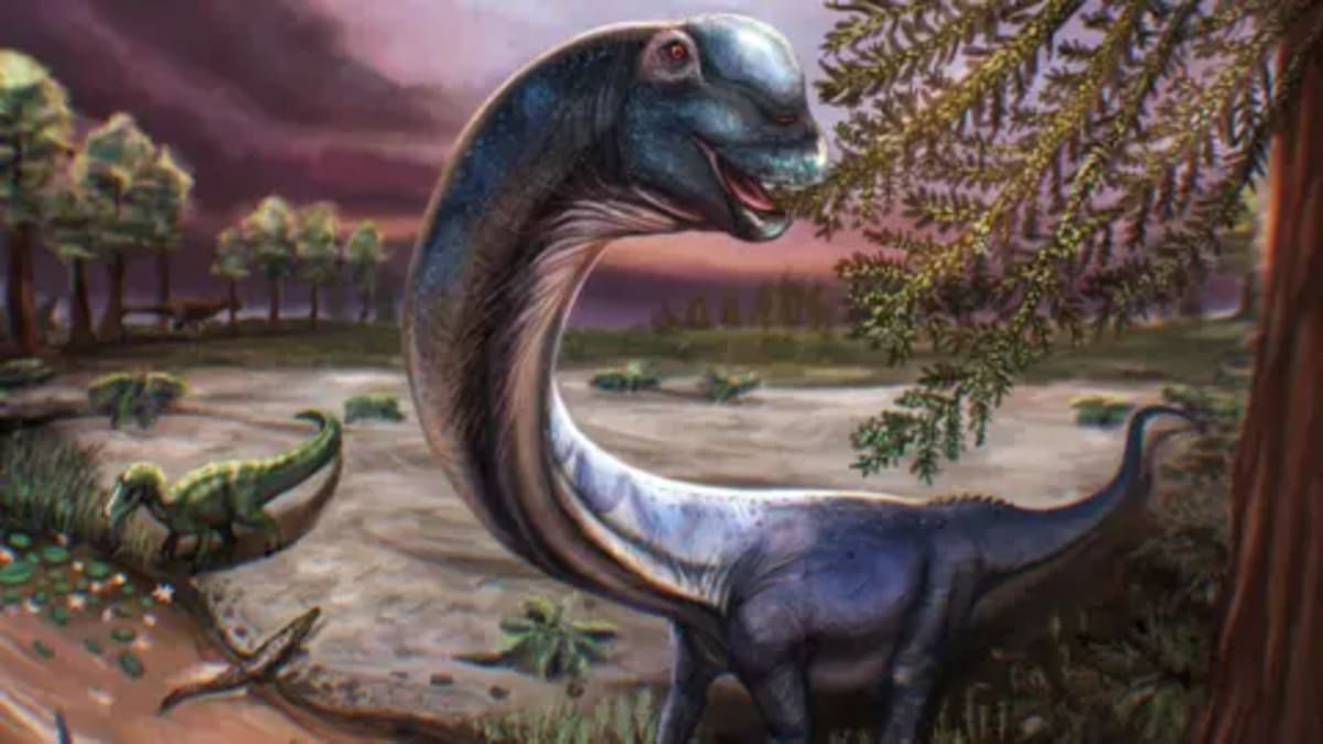 Thailand's Largest Dinosaur Ever Found Lived 120M Years Ago - Image 2