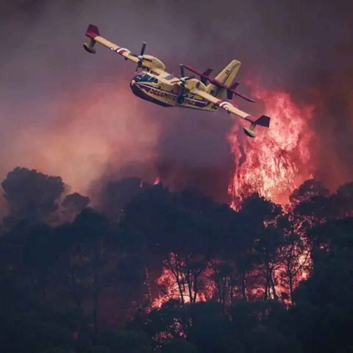 5,000 Heroes Battle Europe's Wildfires with New Tech - Image 2