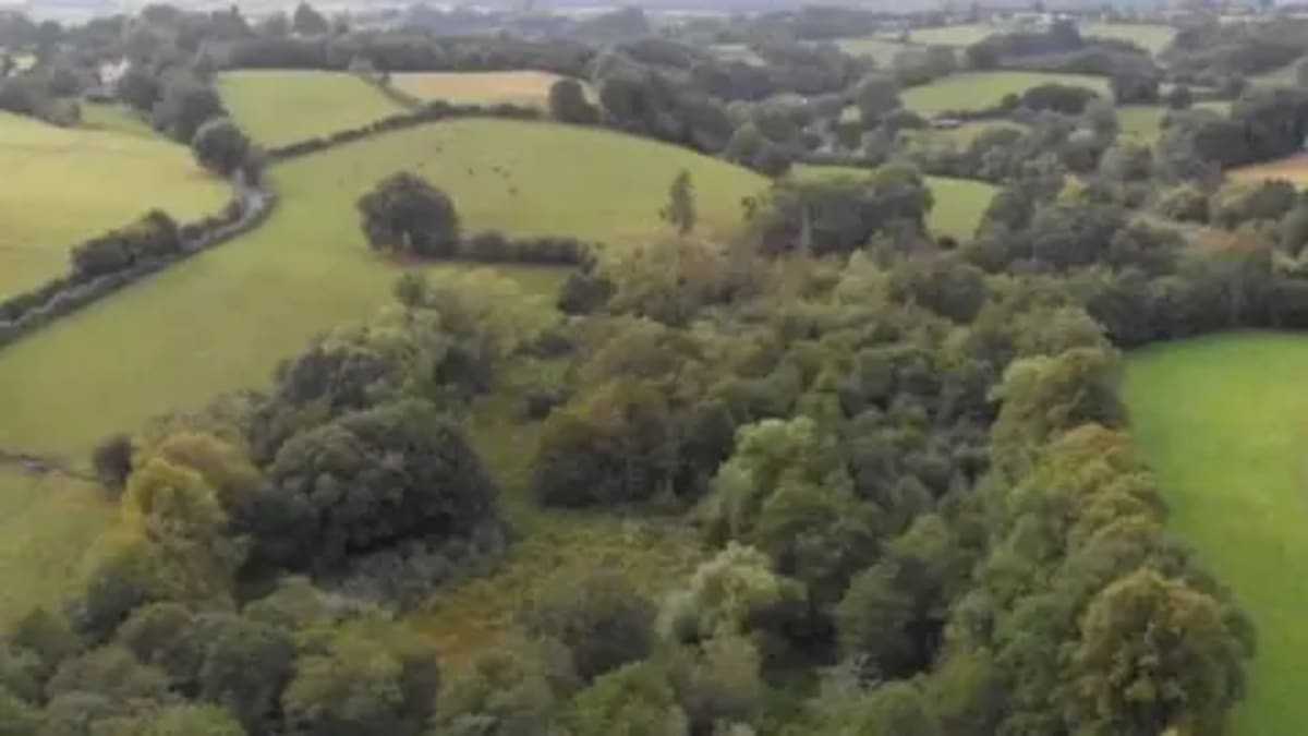 Gift in Will Doubles Staffordshire Nature Reserve - Image 2